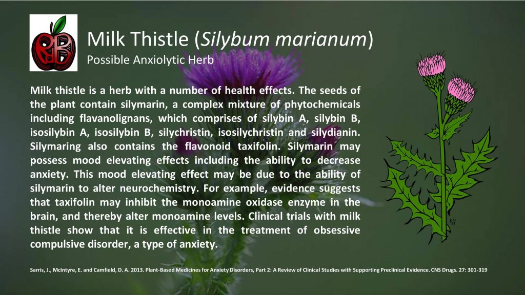 milk thistle anxiety